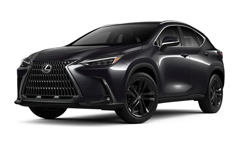 2025 Lexus NX Luxury photo 1