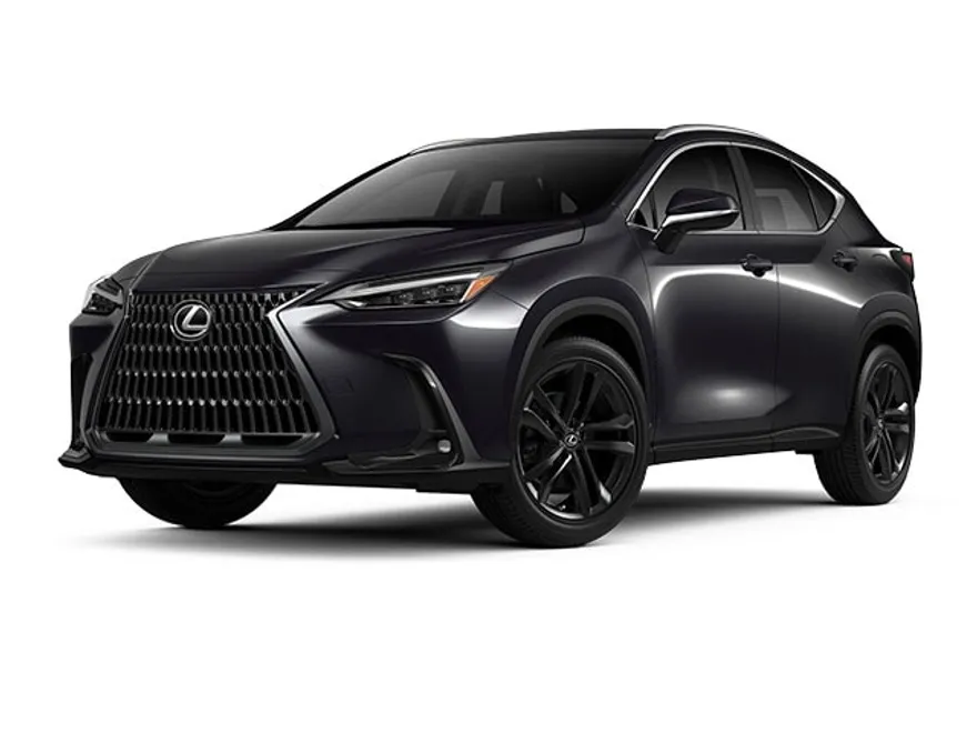 2025 Lexus NX Luxury photo 1
