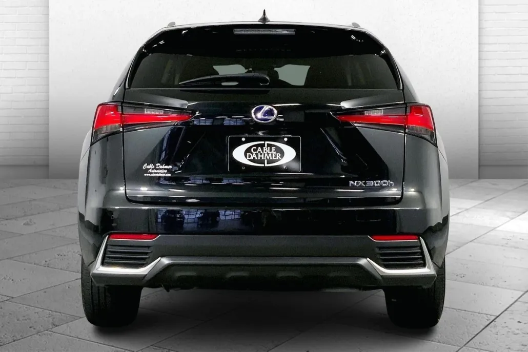 2020 Lexus NX 300h Premium photo 1