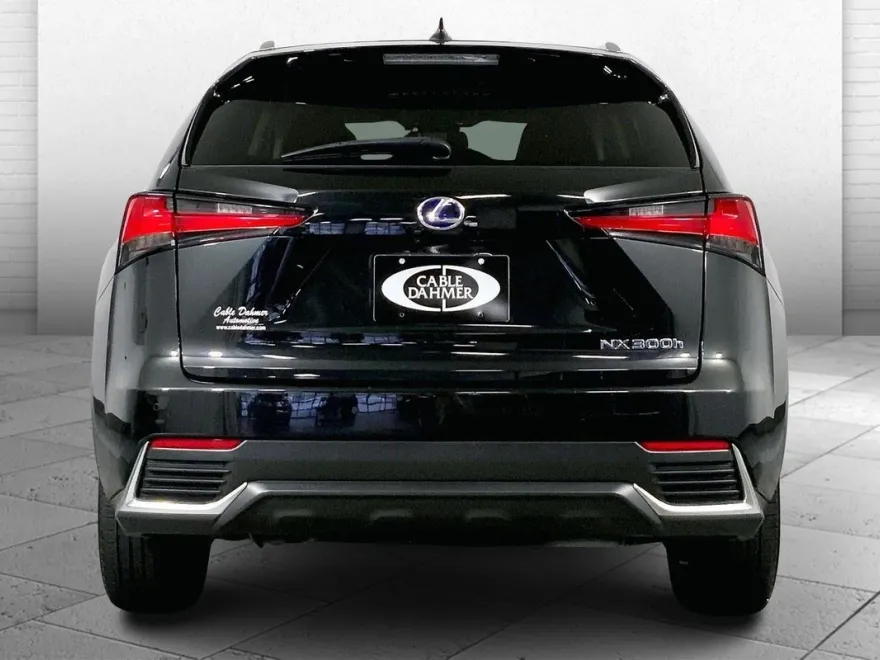 2020 Lexus NX 300h Premium photo 1
