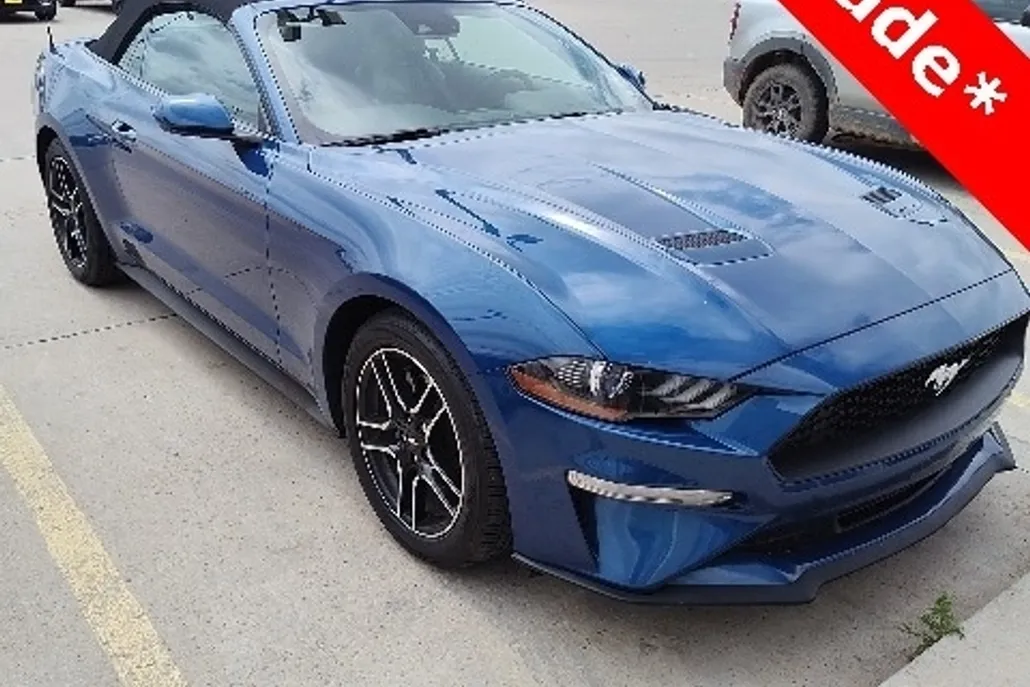 2023 Ford Mustang EcoBoost Premium Convertible photo 1