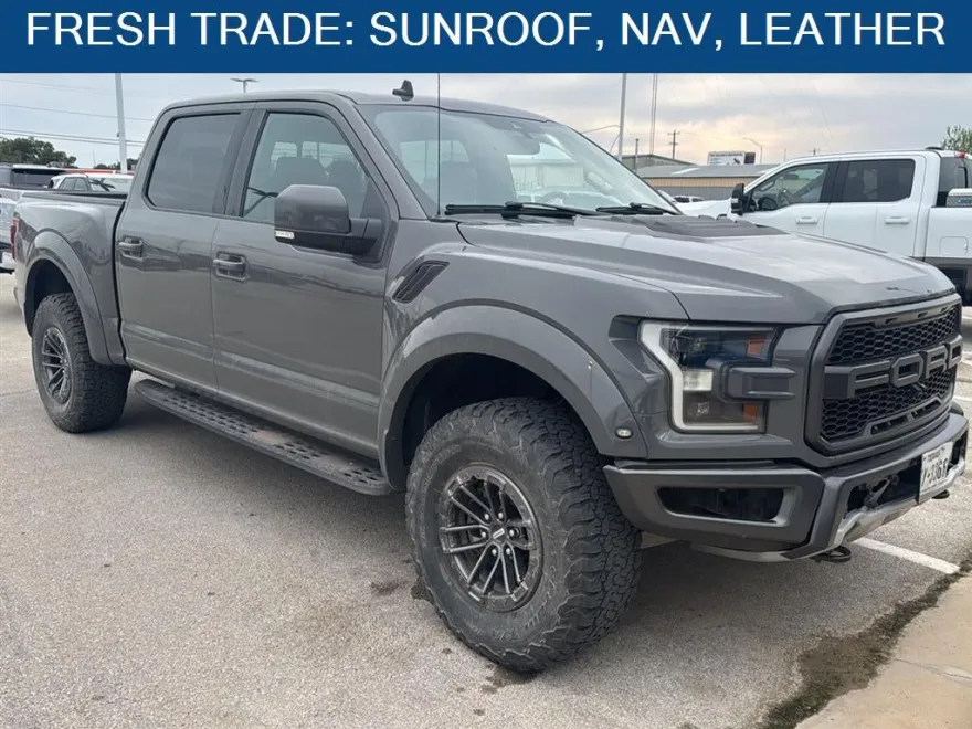 2020 Ford F-150 Raptor photo 1