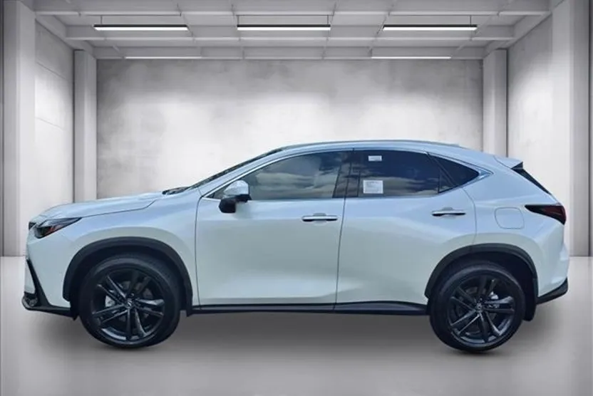 2025 Lexus NX Luxury AWD photo 1