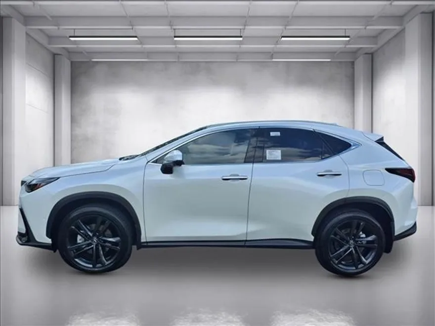 2025 Lexus NX Luxury AWD photo 1