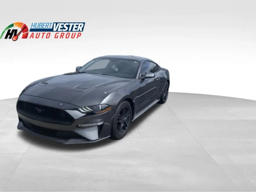 2019 Ford Mustang EcoBoost photo 1
