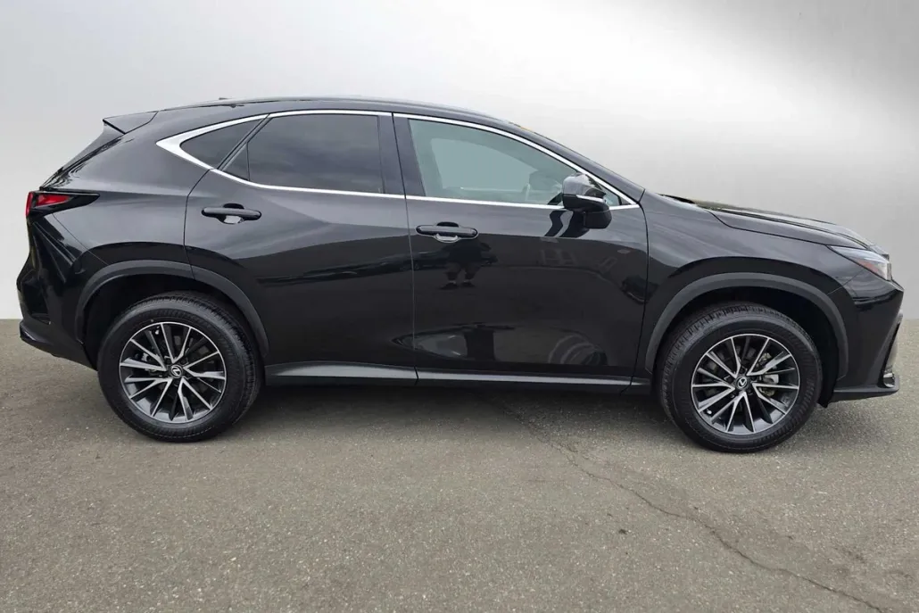 2024 Lexus NX 350h Premium photo 1