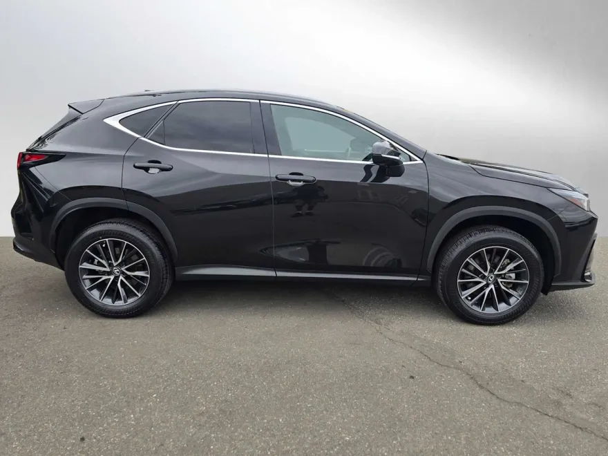 2024 Lexus NX 350h Premium photo 1