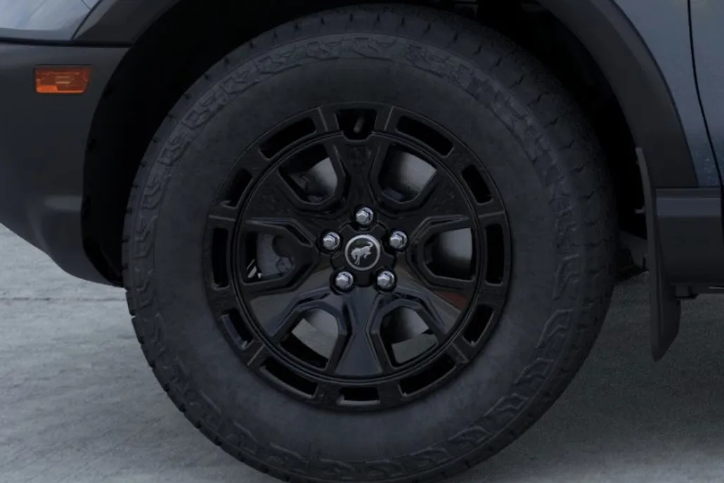 2025 Ford Bronco Sport Badlands photo 13