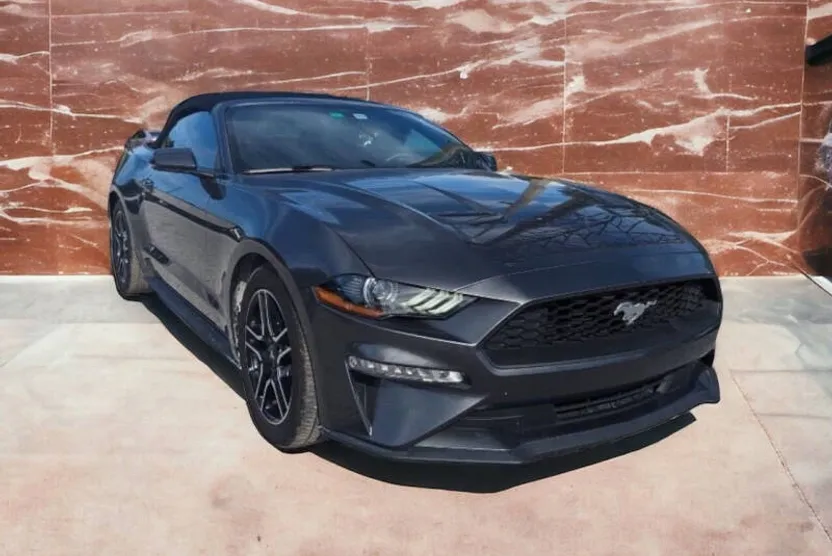 2019 Ford Mustang EcoBoost Premium photo 1