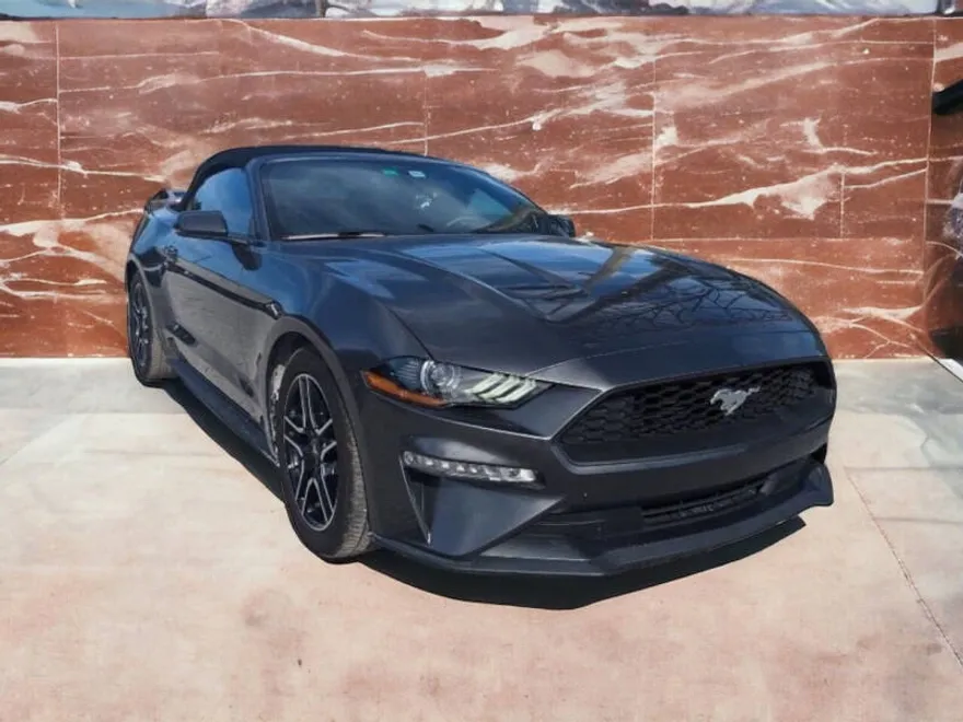 2019 Ford Mustang EcoBoost Premium photo 1