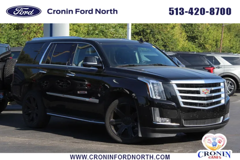 2019 Cadillac Escalade Luxury photo 1