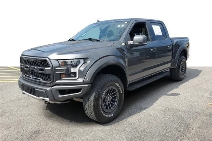 2020 Ford F-150 Raptor photo 1