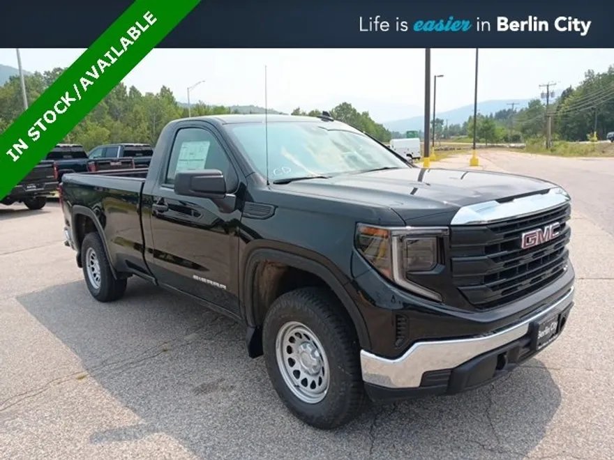 2025 Gmc Sierra 1500 Pro photo 1
