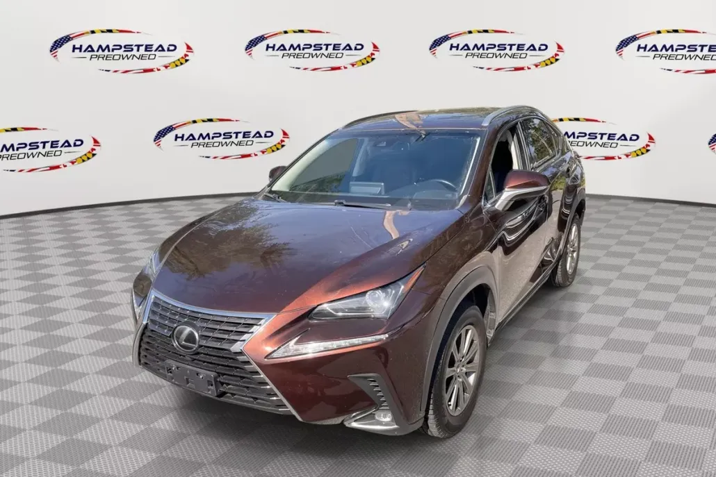2018 Lexus NX 300 Luxury photo 1