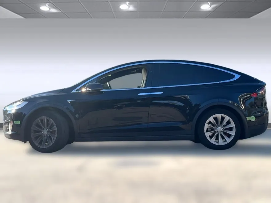 2020 Tesla Model X Performance photo 1