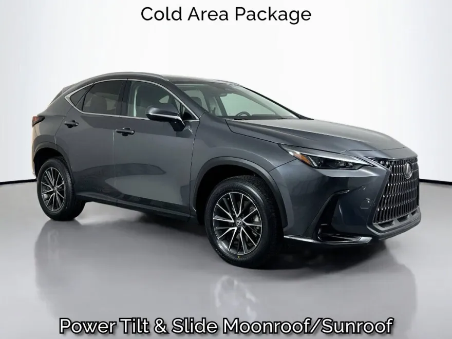 2024 Lexus NX 350 photo 1