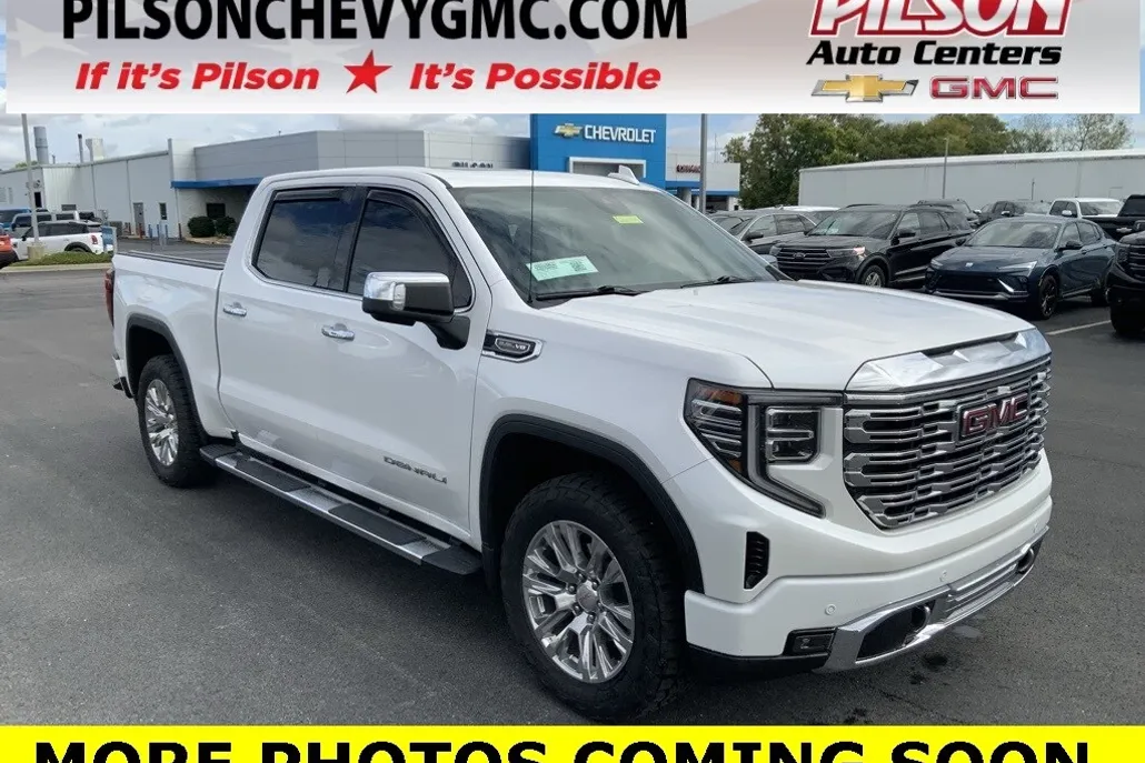 2024 Gmc Sierra 1500 Denali photo 1