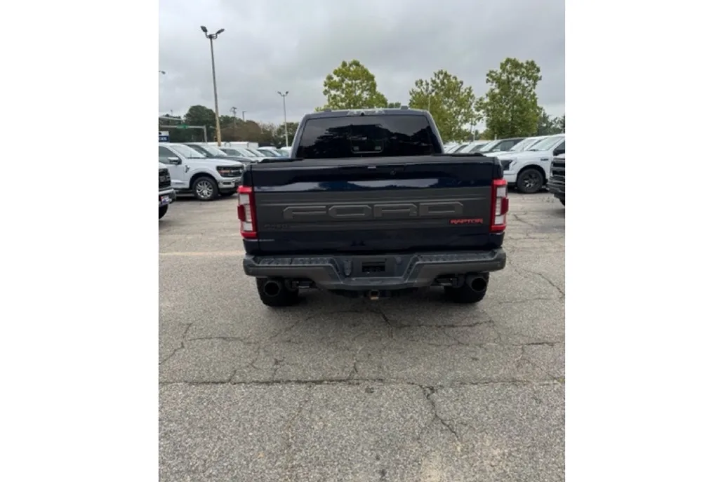 2022 Ford F-150 Raptor photo 1