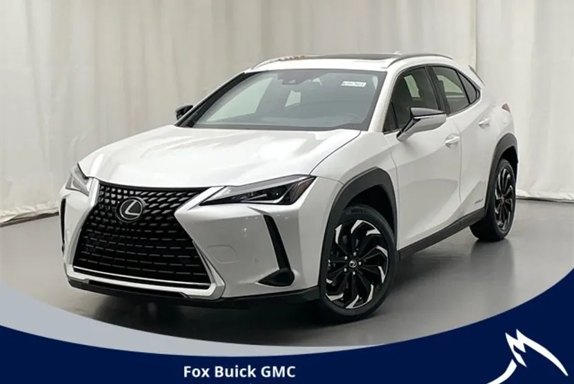 2021 Lexus UX 250h photo 1