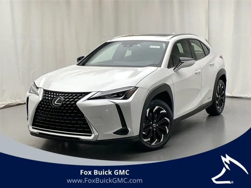 2021 Lexus UX 250h photo 1