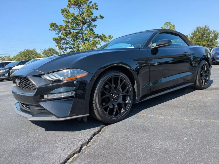 2019 Ford Mustang EcoBoost Premium photo 1