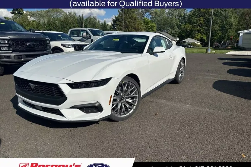 2025 Ford Mustang EcoBoost Premium photo 1