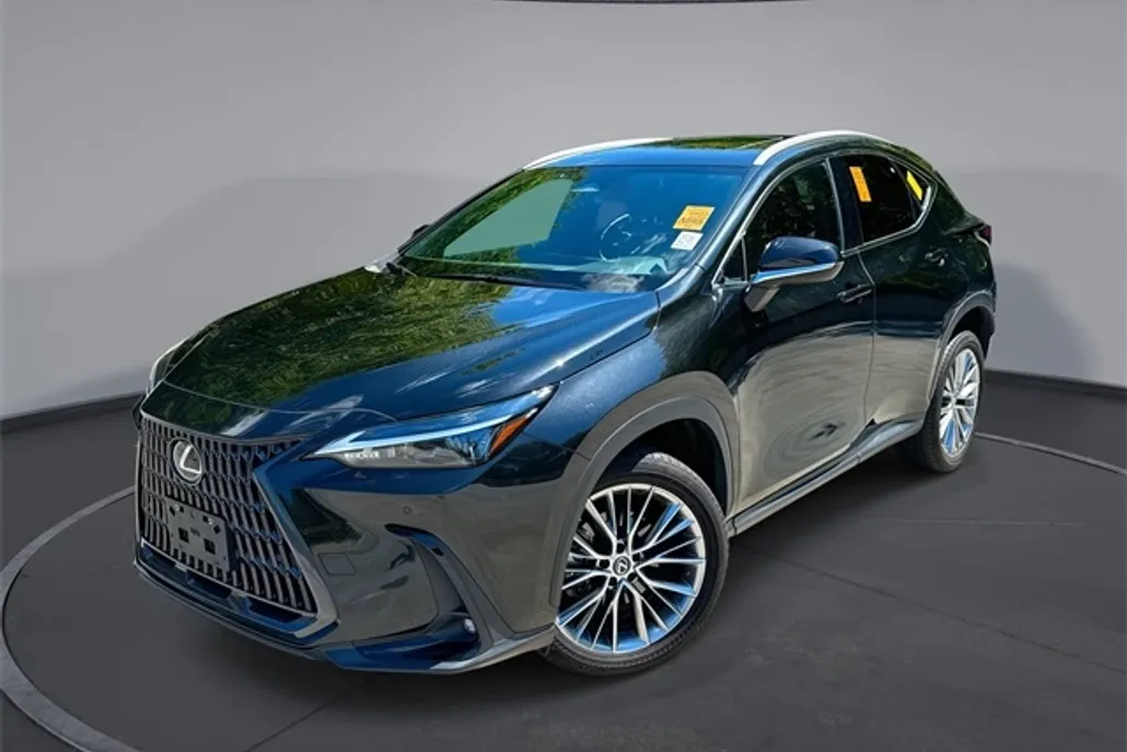 2022 Lexus NX 350 Premium photo 1