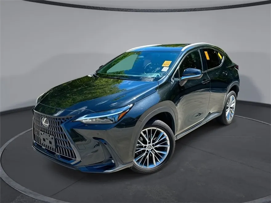 2022 Lexus NX 350 Premium photo 1