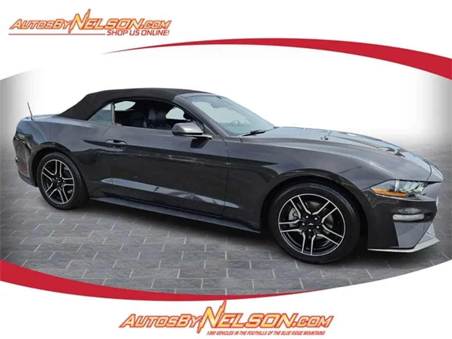 2023 Ford Mustang EcoBoost Premium photo 1