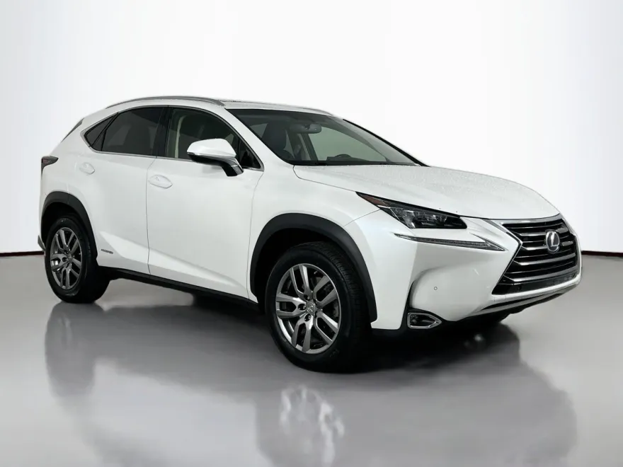 2016 Lexus NX 300h Luxury photo 1