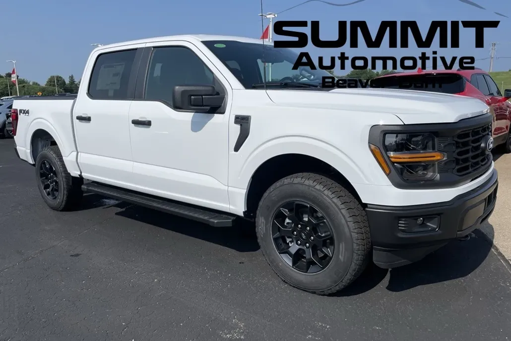 2025 Ford F-150 STX photo 1