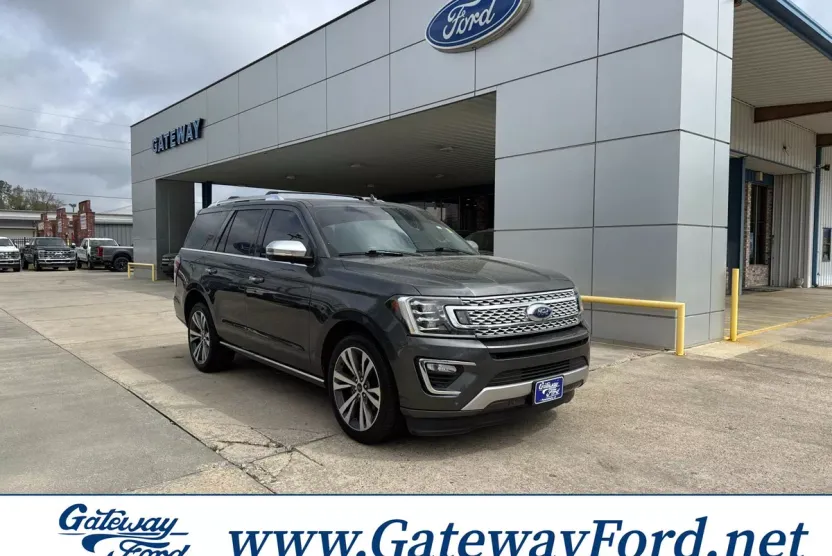 2020 Ford Expedition Platinum photo 1