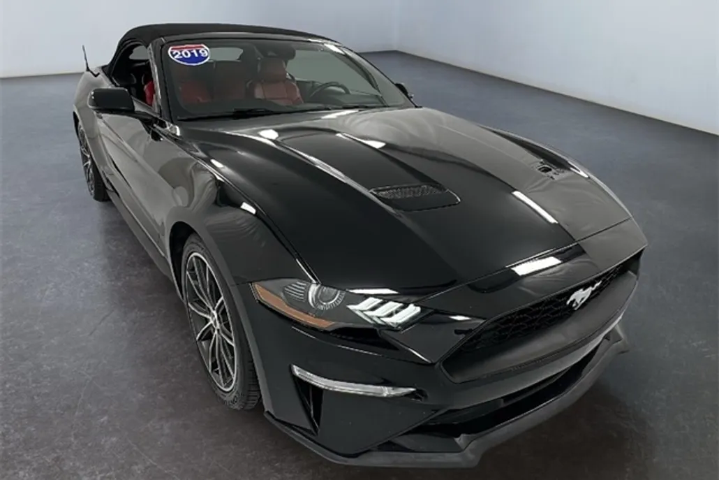 2019 Ford Mustang EcoBoost Premium photo 1