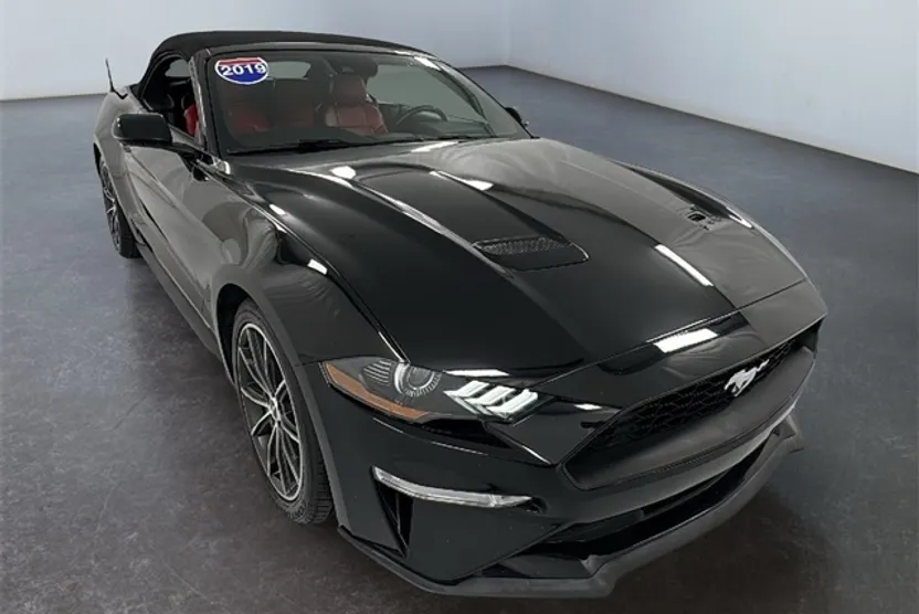 2019 Ford Mustang EcoBoost Premium photo 1
