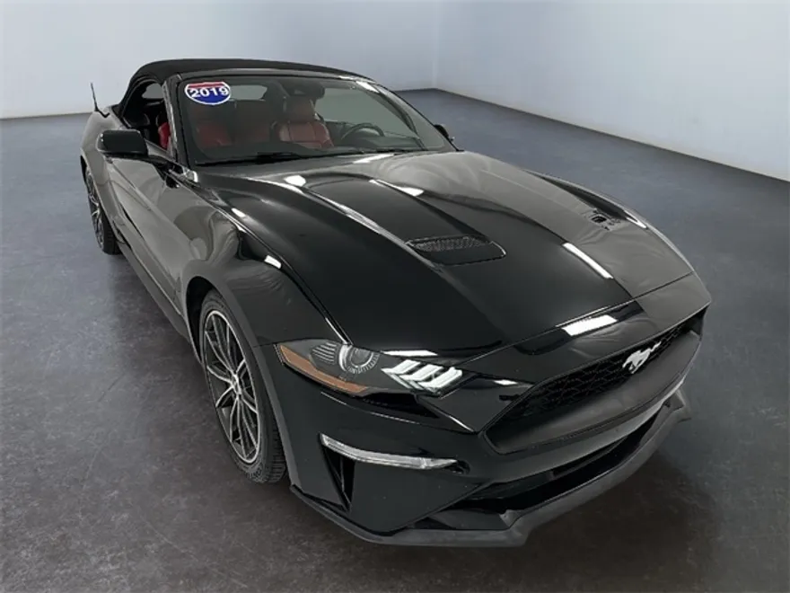 2019 Ford Mustang EcoBoost Premium photo 1