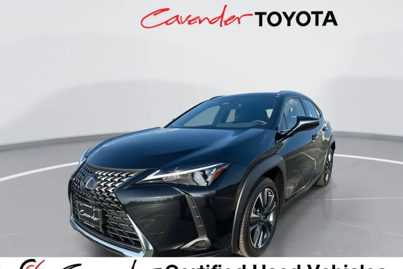 2025 Lexus UX photo 1