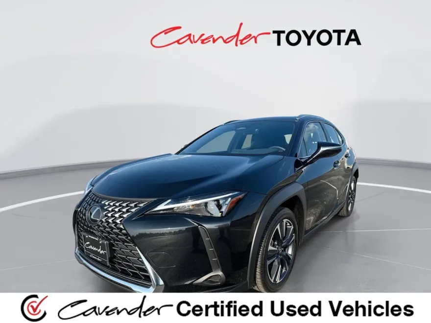 2025 Lexus UX photo 1