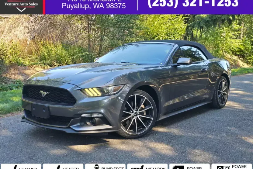 2015 Ford Mustang EcoBoost Premium Convertible photo 1
