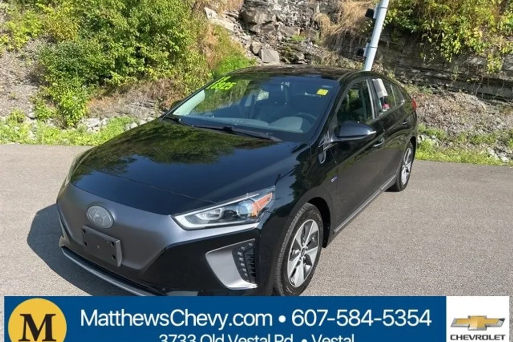2019 Hyundai Ioniq Electric Limited photo 1