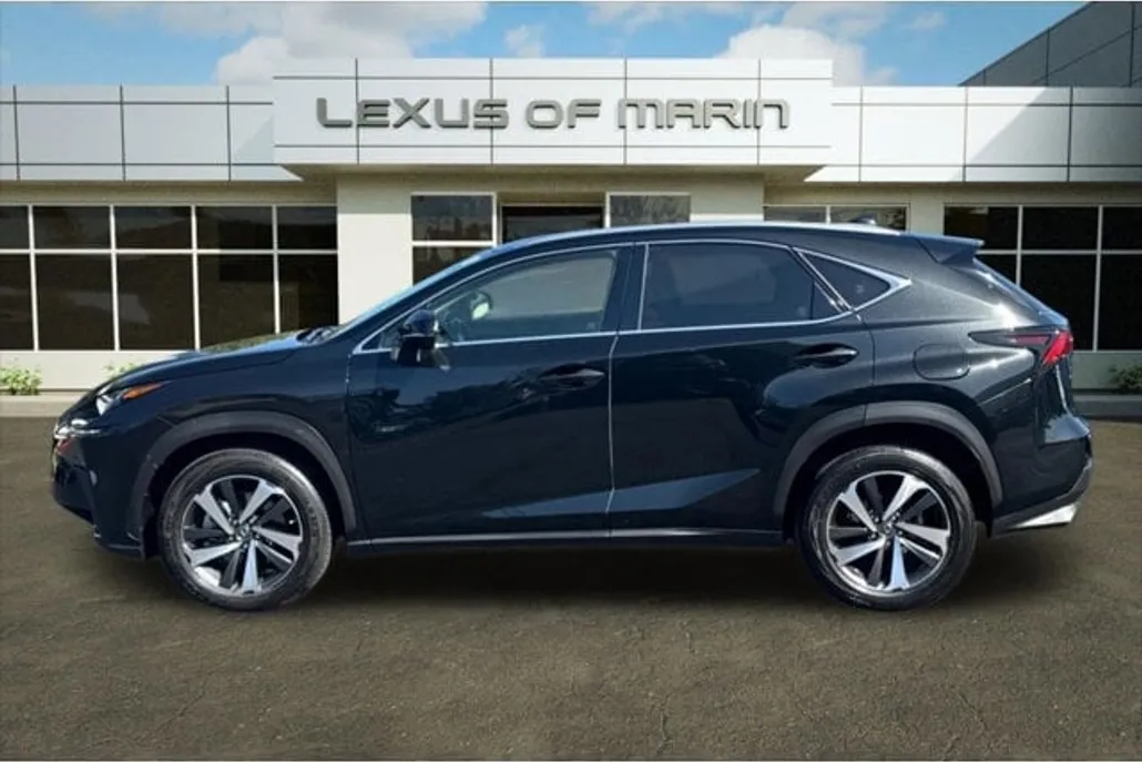 2020 Lexus NX 300 Premium photo 1