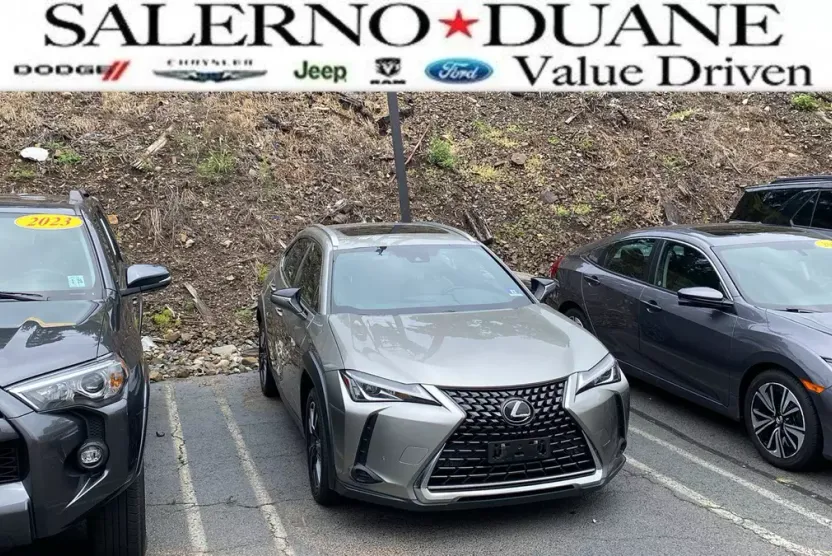 2019 Lexus UX 200 photo 1