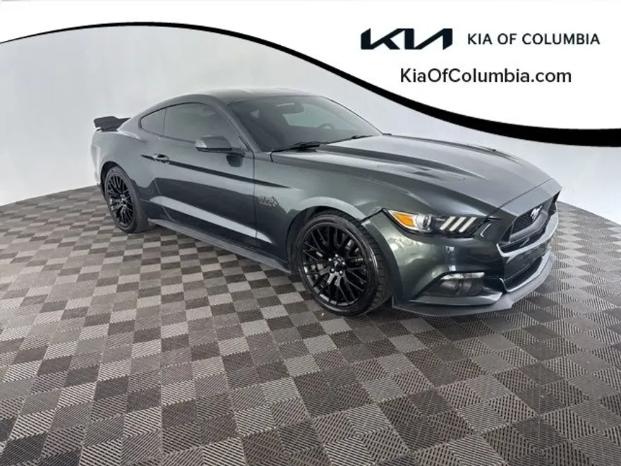 2015 Ford Mustang GT photo 1