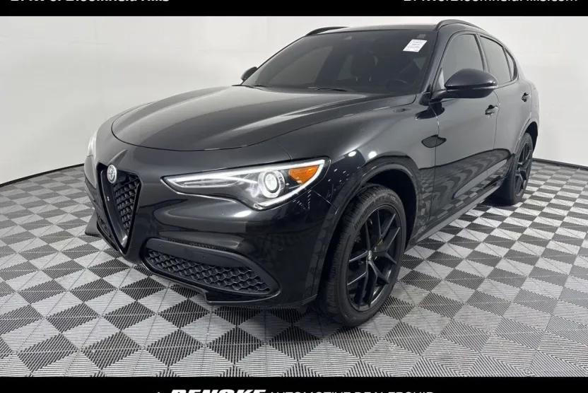 2020 Alfa Romeo Stelvio Base photo 1