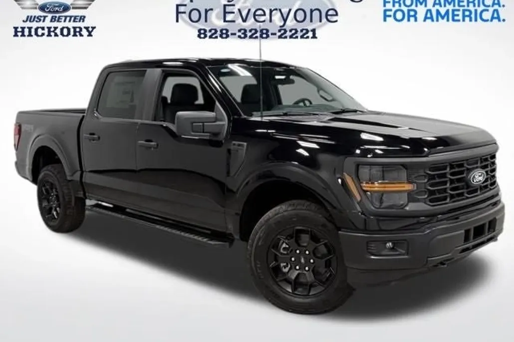 2025 Ford F-150 STX photo 1