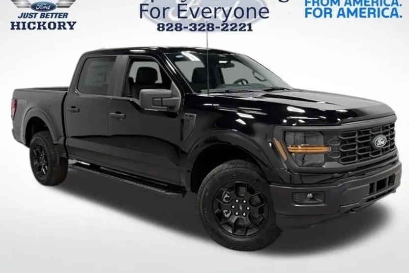 2025 Ford F-150 STX photo 1