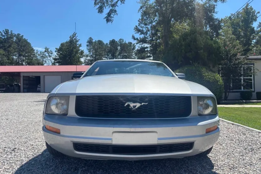 2008 Ford Mustang V6 Deluxe photo 1