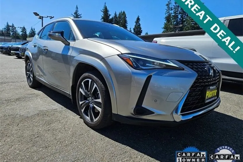 2022 Lexus UX 250h photo 1