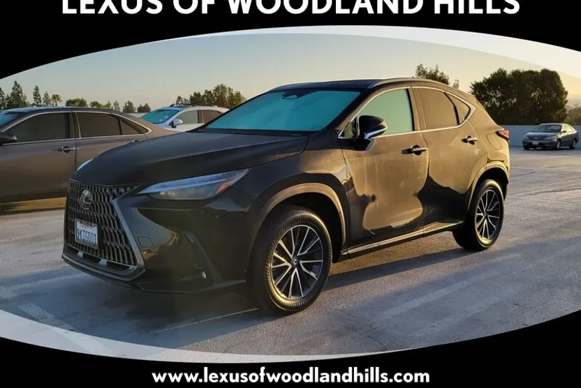 2024 Lexus NX 350 photo 1