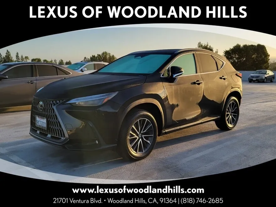 2024 Lexus NX 350 photo 1