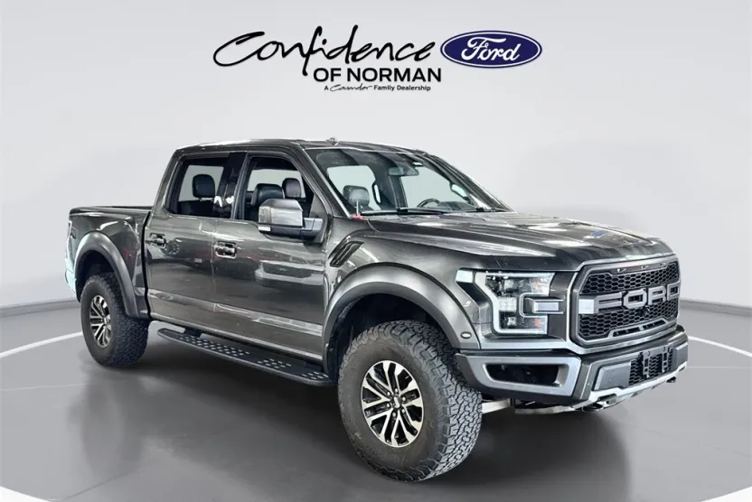 2019 Ford F-150 Raptor photo 1
